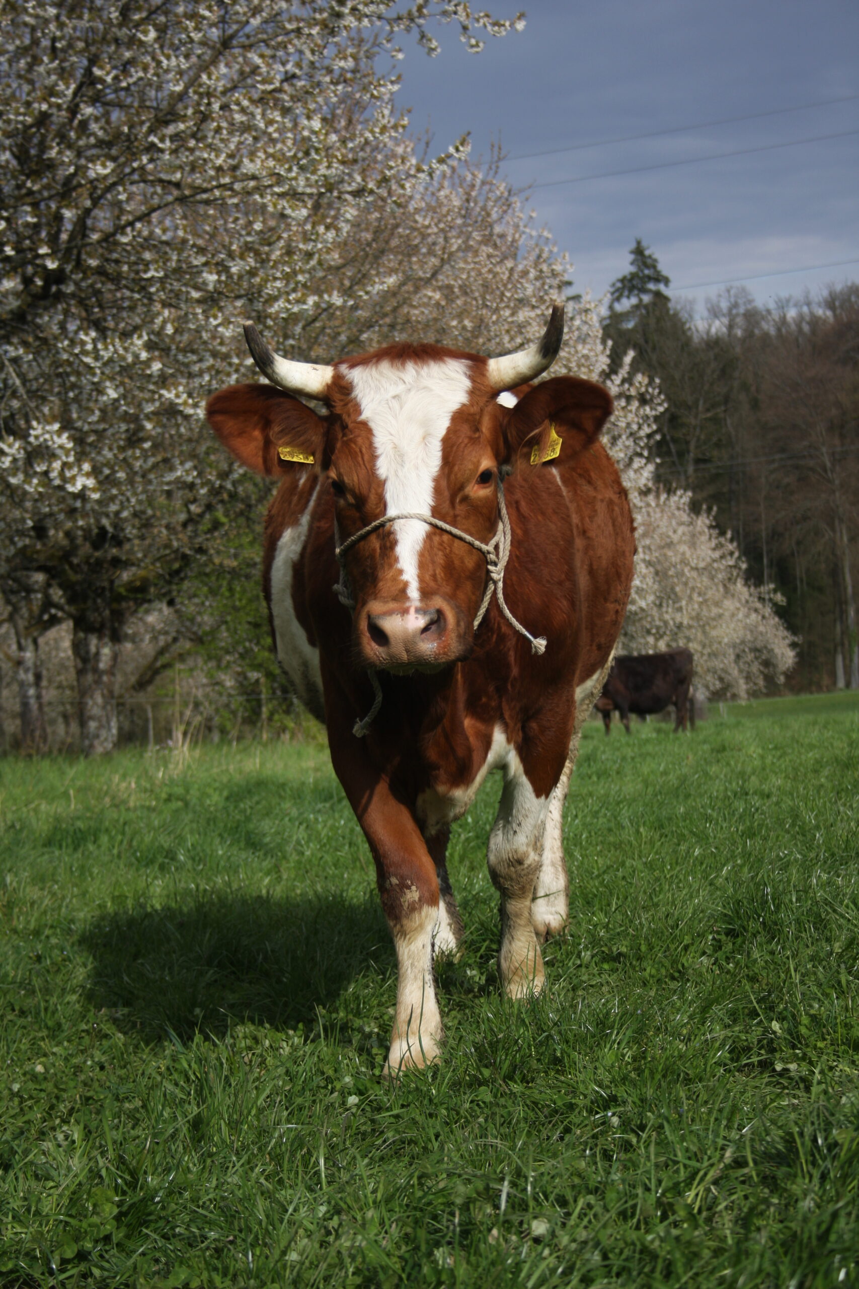 26E4ED0E-5790-47E7-B414-B8628B560AC7