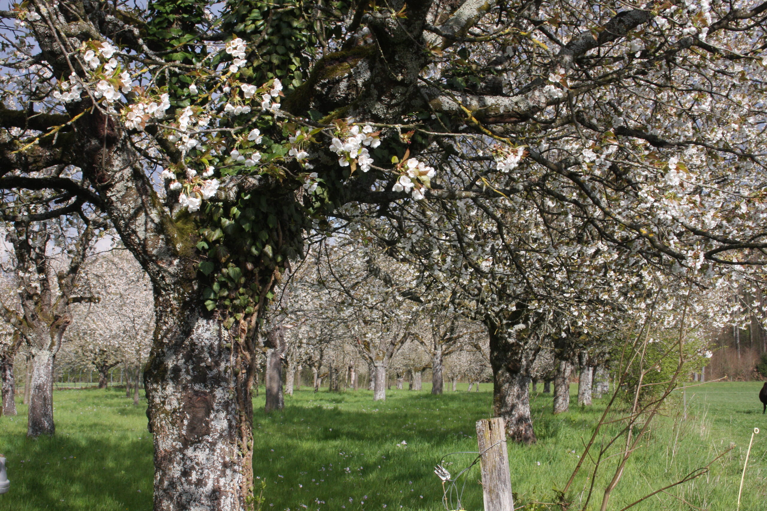 2D783773-00B7-469C-AD35-A2D02D30CDC5