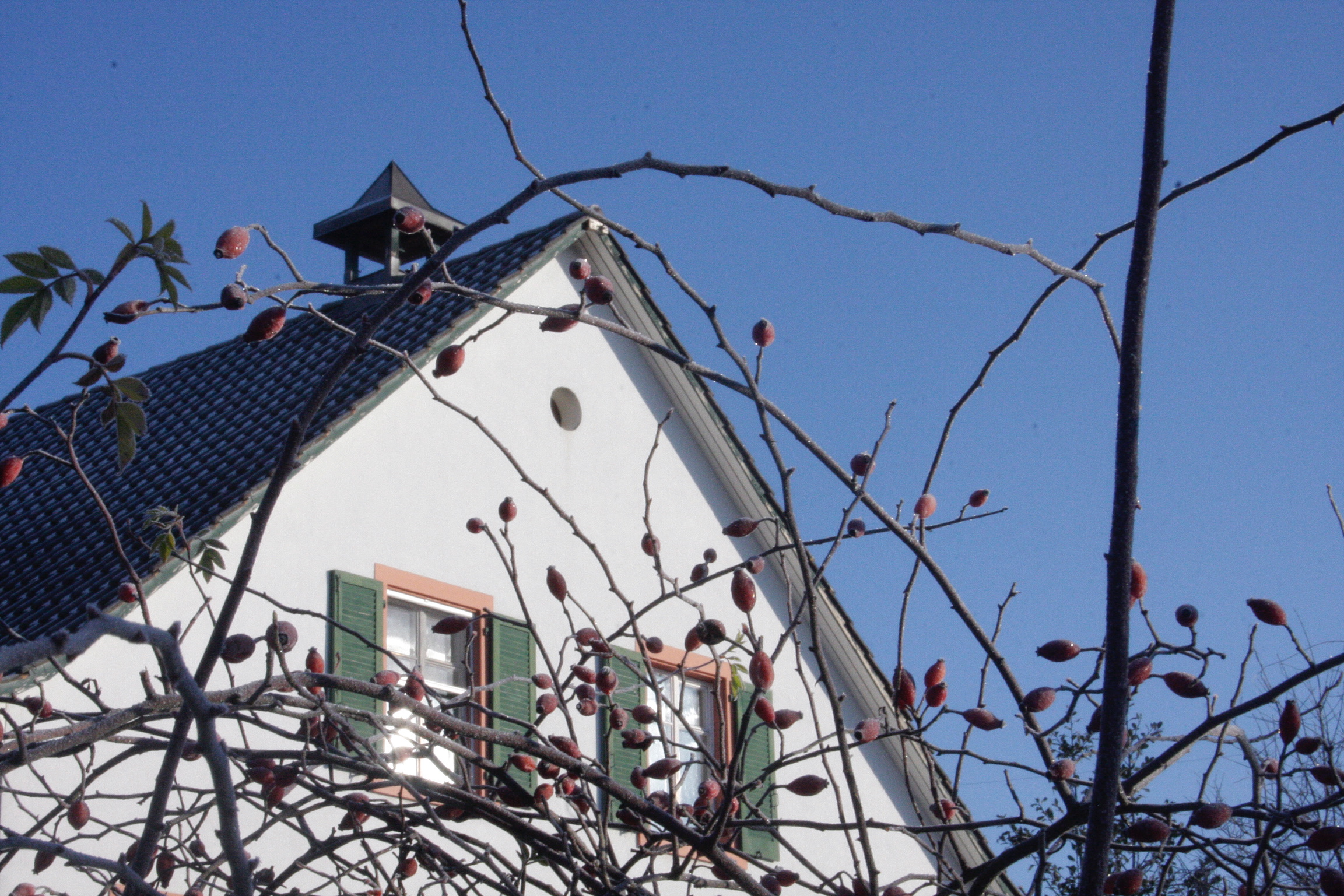 3AB4AC87-92C3-475D-9683-5EB9916A0B78