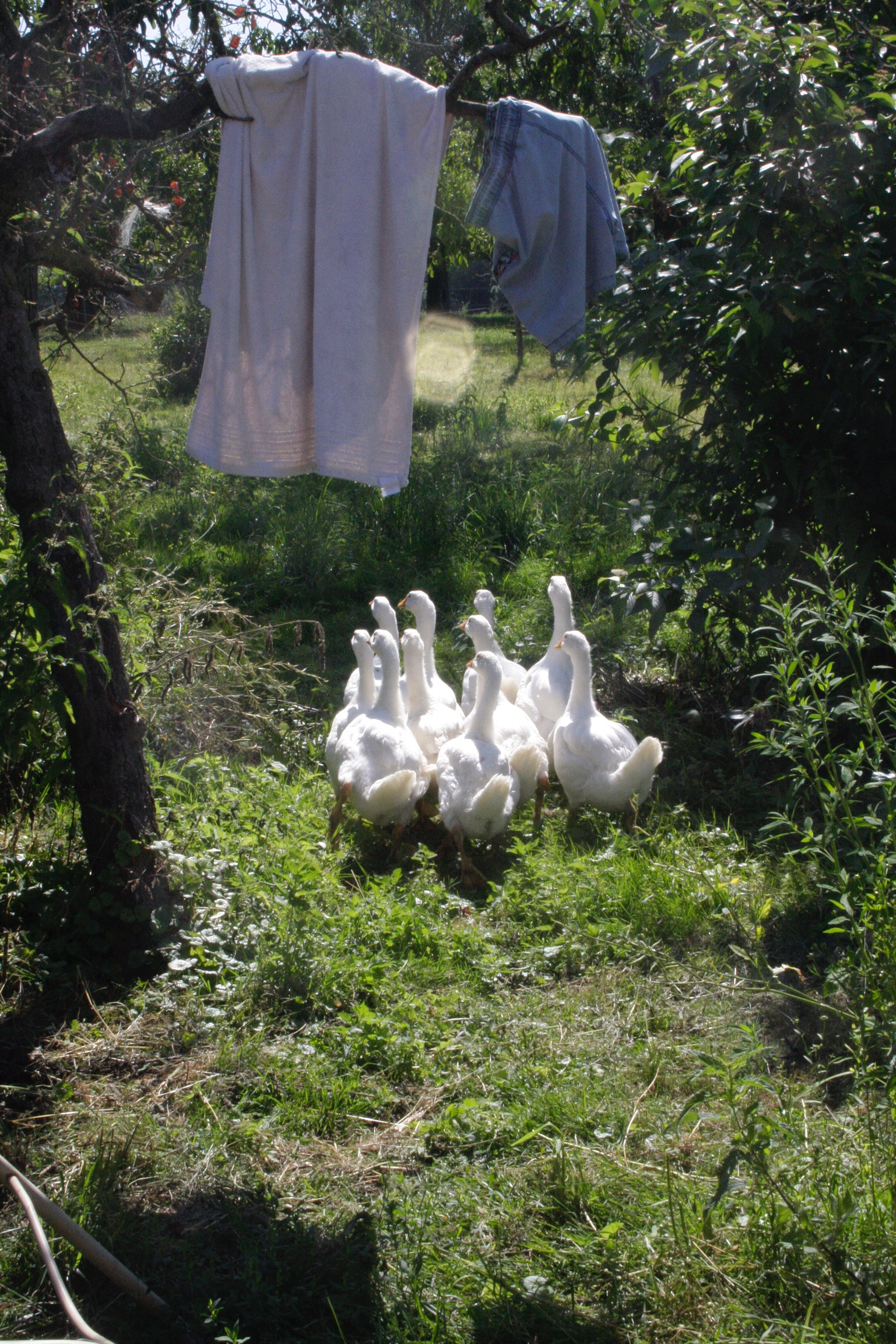 583A4797-CB78-4653-B1E4-EA7981DFA434