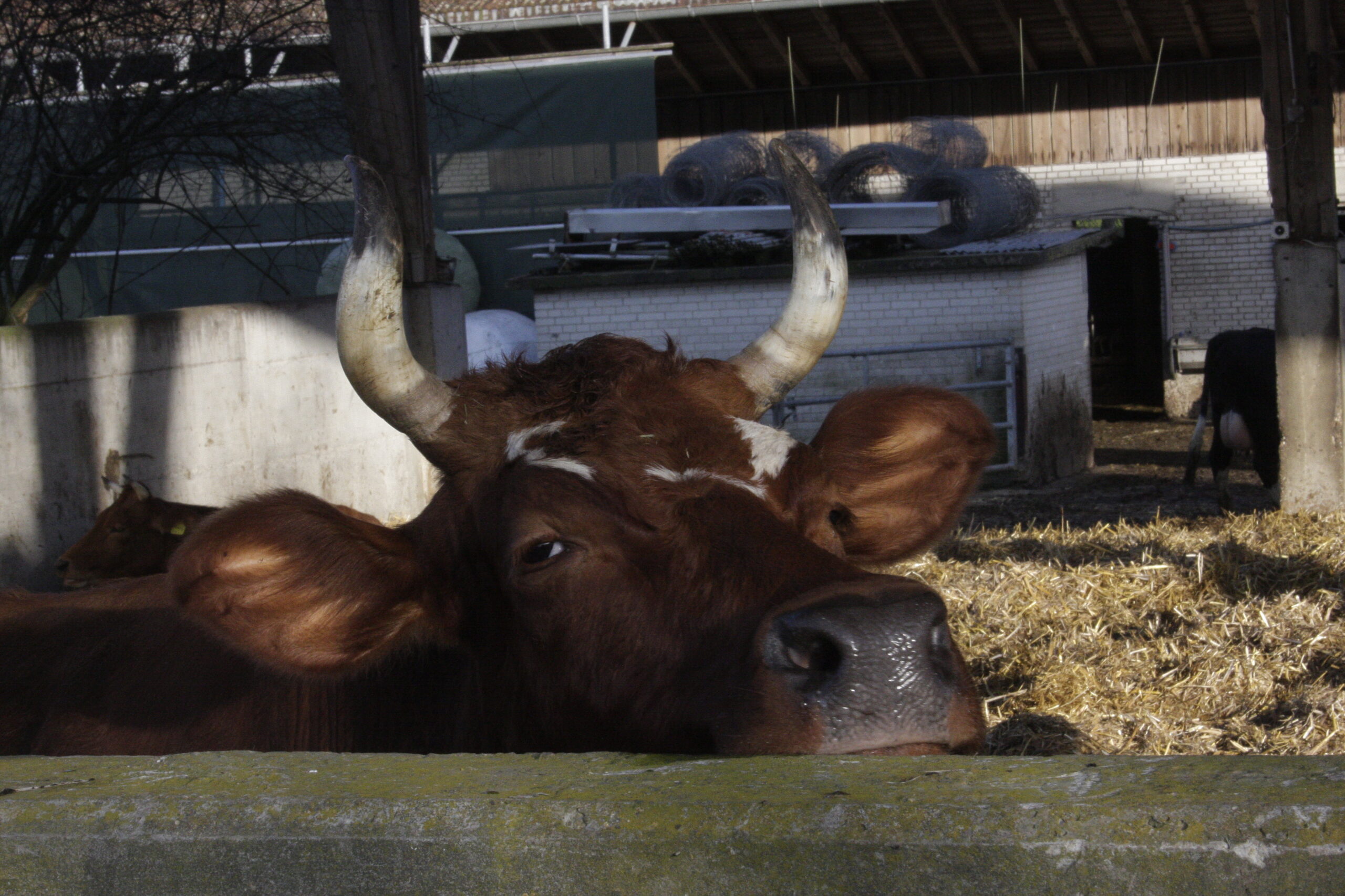 5DB6B750-9675-419E-BFAC-DB91EA50C105