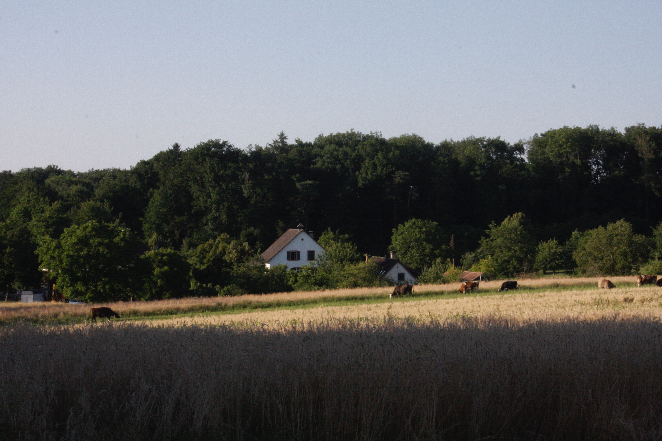 6CB3EAD3-7598-4DCD-B151-0BA4E10A0058