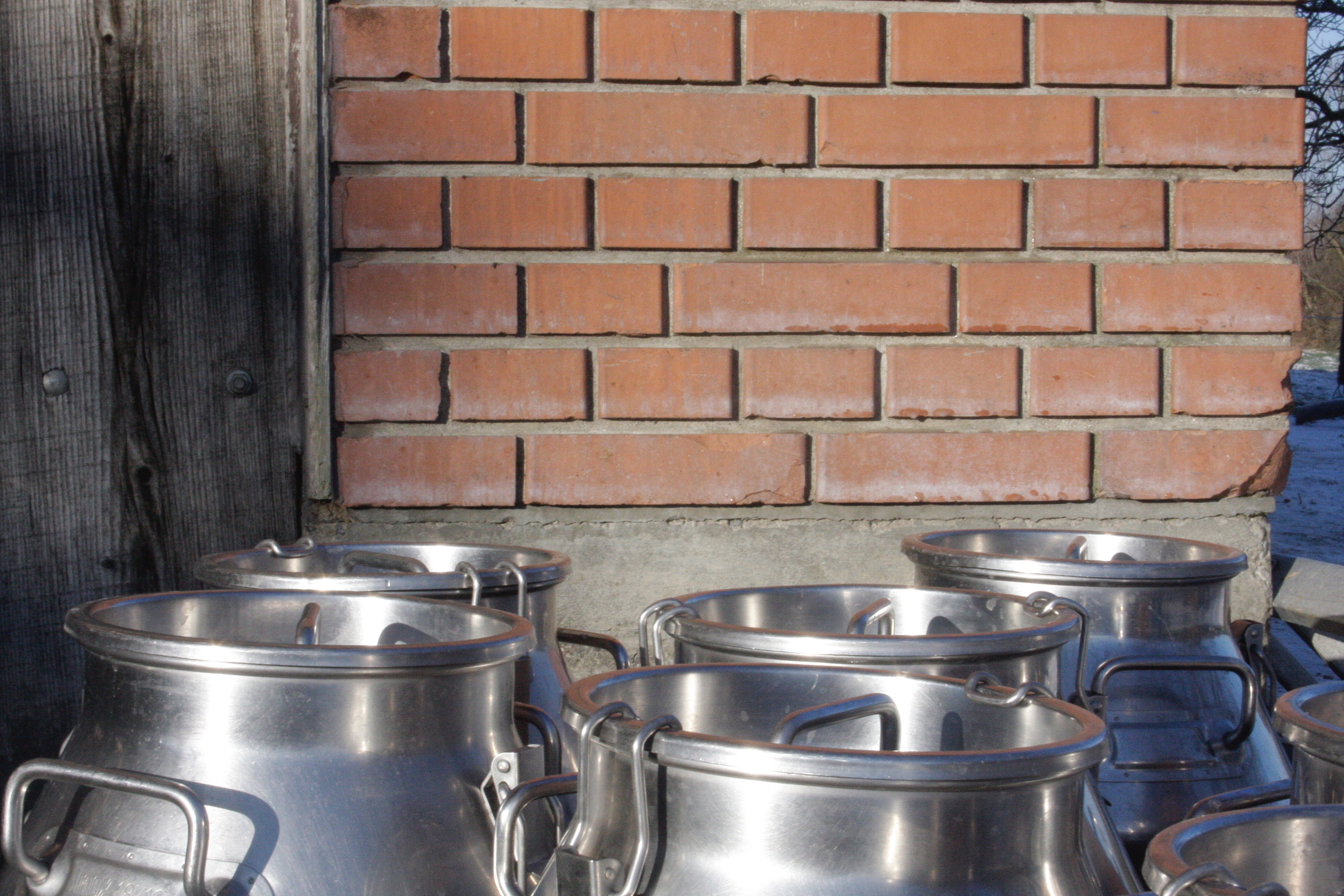 88B43328-552C-4553-A641-55D2CC0CC393