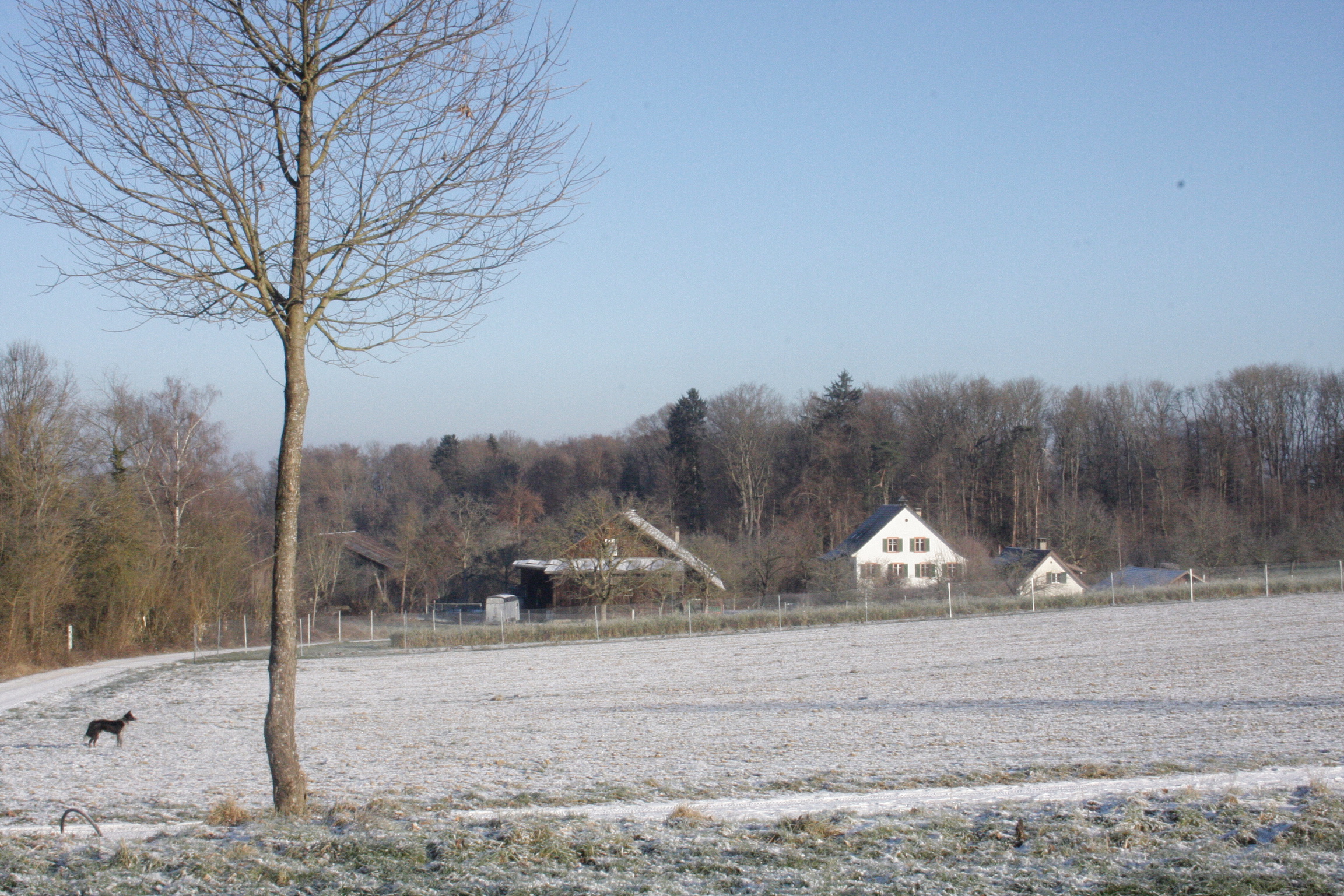 A25F4FD8-610A-4B04-B3BA-FD4AA6F49198