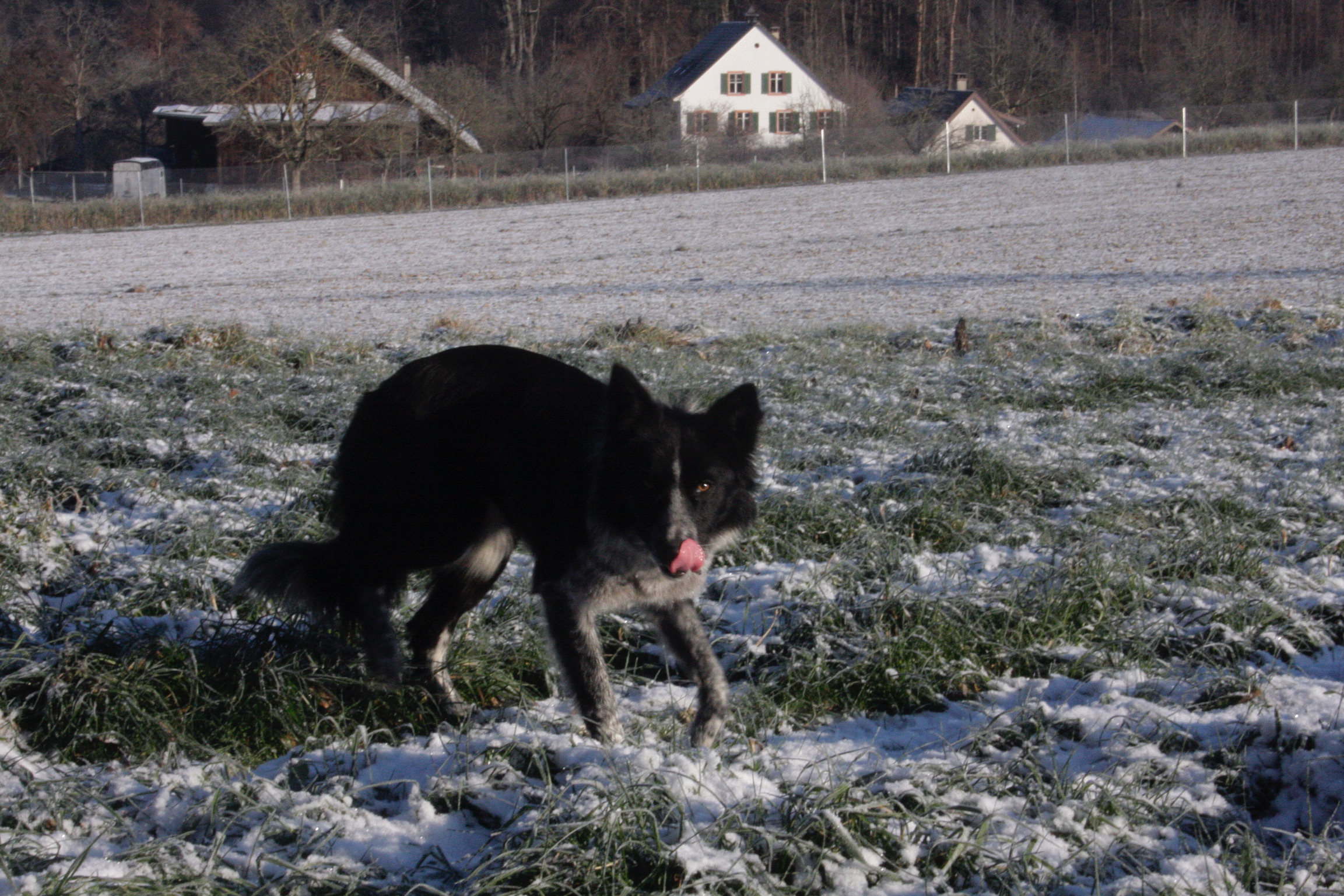 D8C02CEA-187D-4CC6-A4B8-88FB871C4683