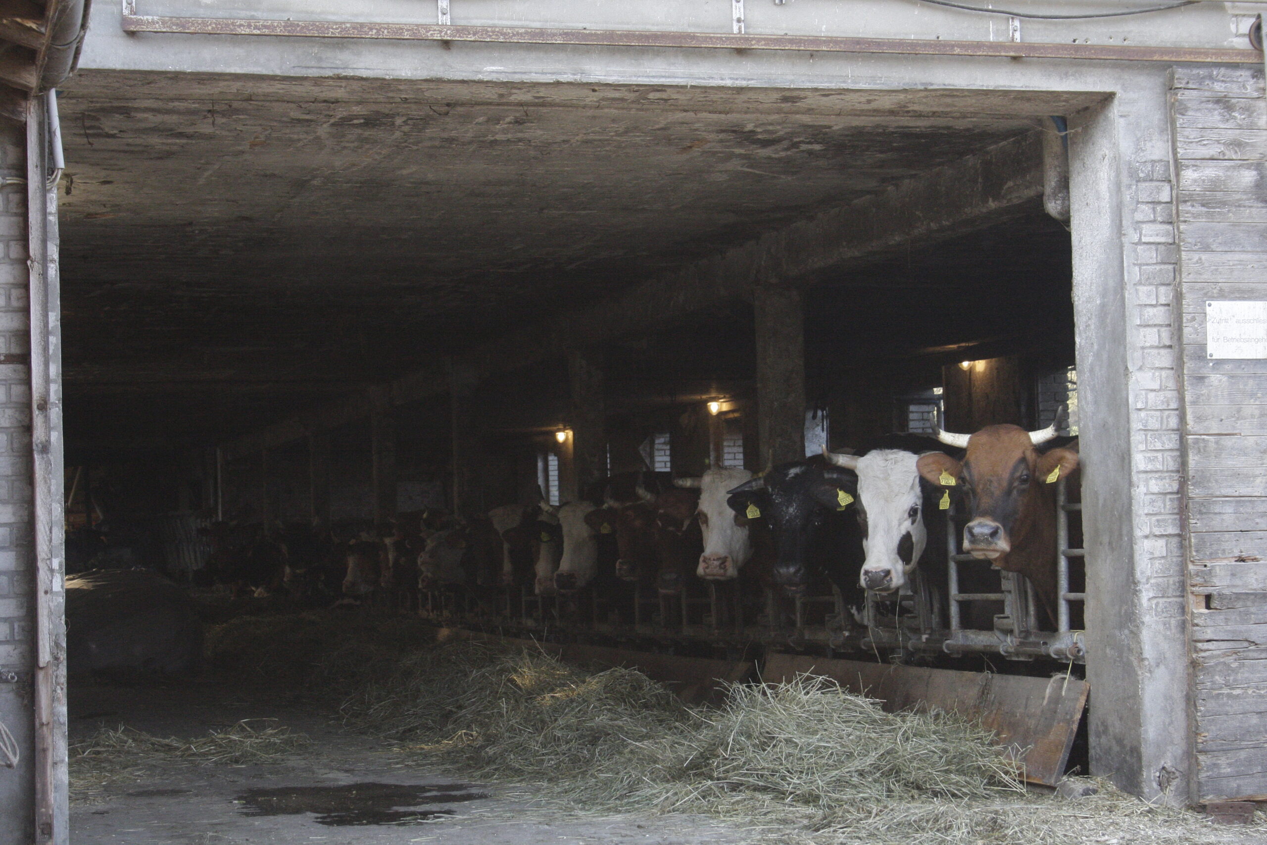 D8EBBF64-421F-409B-83C1-2BE3BB97ACCC